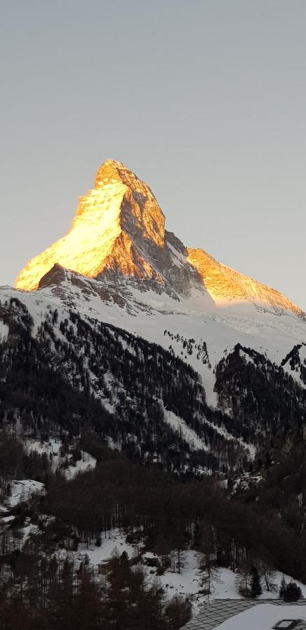 Haus Les Melezes C Lejlighed Zermatt Eksteriør billede
